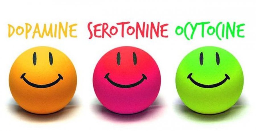 4 zakone të thjeshta sesi mund të stimulojmë hormonet e lumturisë Serotonina, Dopamina, Endorfina, Oksitocina