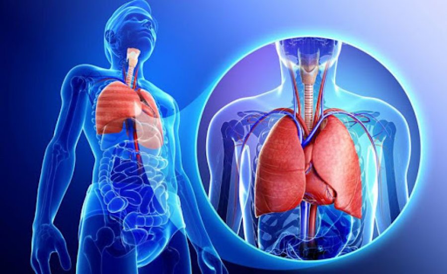 Më shumë se 25 milionë njerëz preken nga Hipertensioni Pulmonar, ja simptomat