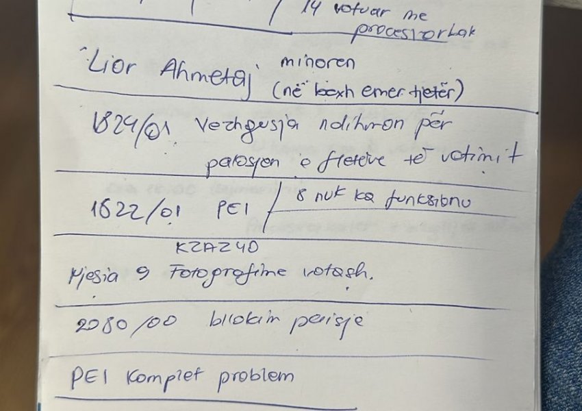 ‘Kanë mbirë si kërpudhat’/ Patronazhistët e PS me lista brenda QV-ve
