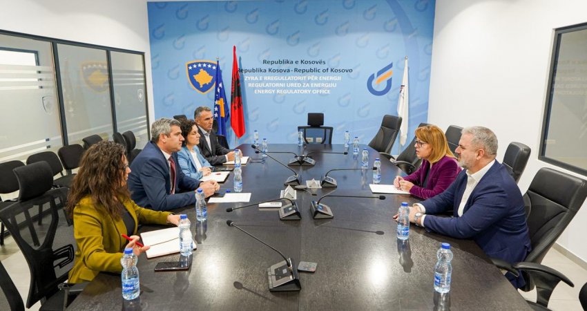 LDK-ja dorëzon kërkesën e deputetëve për anulimin e vendimit për rritjen e çmimit të rrymës
