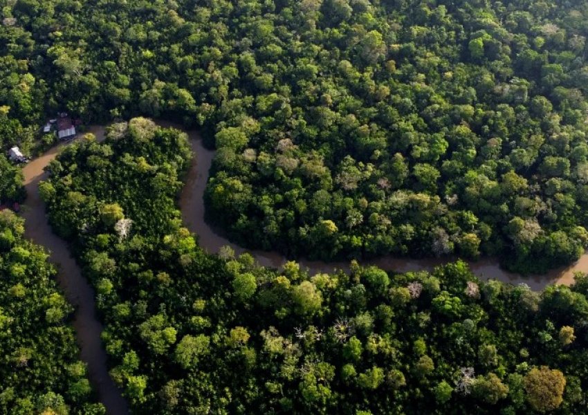 Franca do të ndërtojë burg të sigurisë së lartë në Amazon për të izoluar trafikantët e drogës nga bandat
