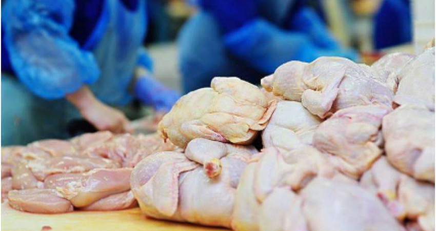 Kosova ndalon përkohësisht importin e mishit të pulës nga Brazili