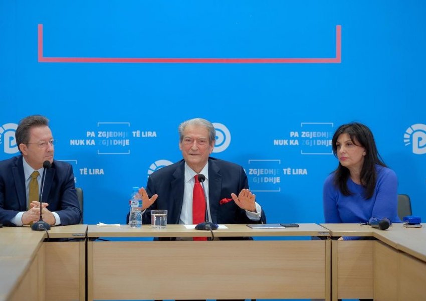 Vota e diasporës, Berisha: Zarfat u mbushën në Shqipëri