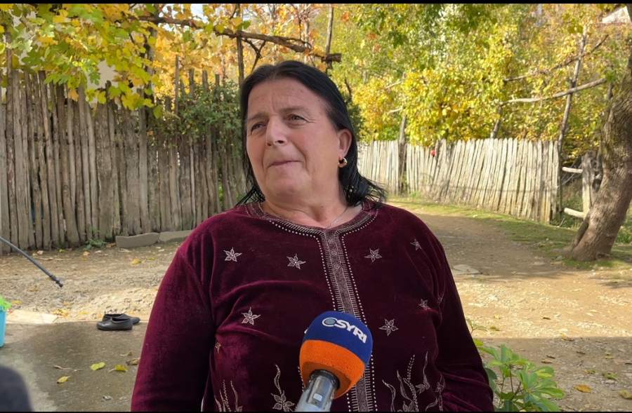 Fermerët e Shmilit në vështirësi/ Mungesa e ujit dhe largimi i të rinjve godasin prodhimin e gështenjave