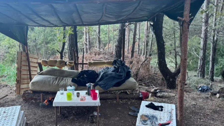 VIDEO/ Shkatërrohen 6 plantacione të mëdha kanabisi, arrestohen 4 shqiptarë