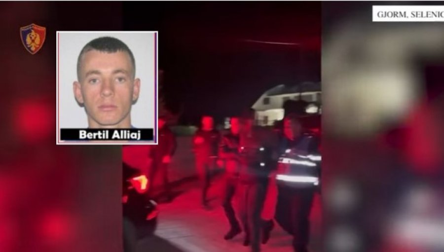 ‘E vrava për një arsye të fortë’/ Vrasja në Selenicë, zbardhet dëshmia e Bertil Alliajt