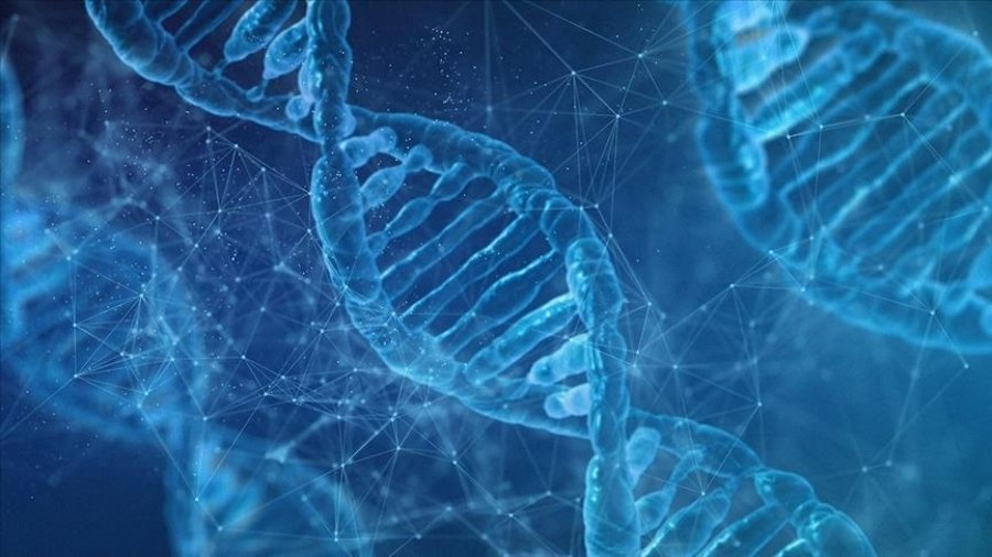Krijohet një mjet i përparuar i ADN-së për të parashikuar moshën dhe origjinën e një personi