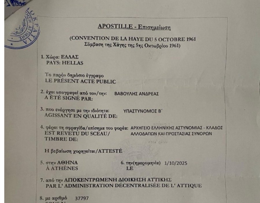 Me pesë mbiemra/ Falsifikim, ekspuls, deklarim të rremë, por Irena është 'simbol' i drejtësisë së re për të goditur opozitën