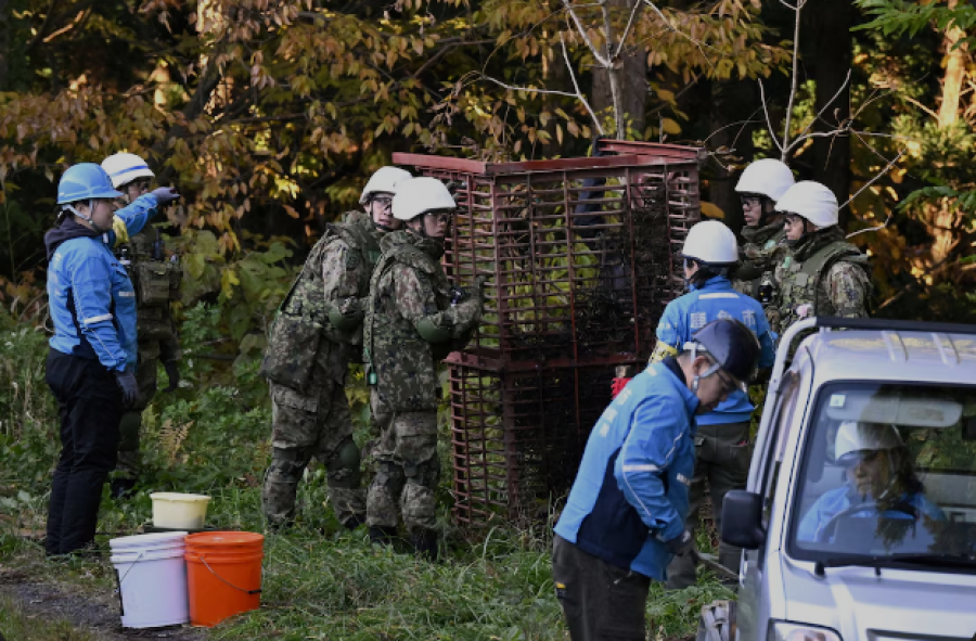 Japonia dërgon trupa për të ndihmuar në ndalimin e sulmeve të arinjve