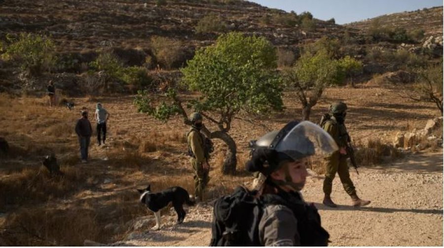 Dhjetëra kolonë izraelitë sulmojnë dy fshatra palestineze në Bregun Perëndimor