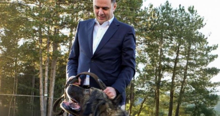 Abdixhiku shfaqet pranë qenit të Sharrit, çka po paralajmëron?
