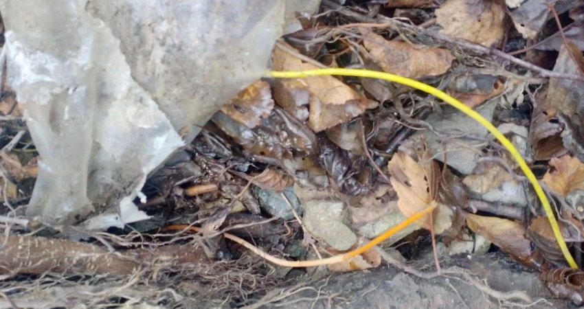 Sveçla deklarohet rreth detonatorëve që u gjeten në Leposaviq