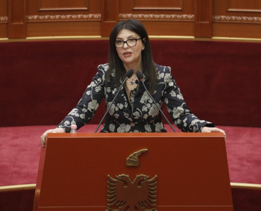 Topalli: Buxheti nuk e fsheh realitetin... Shqipëria ka nevojë për më shumë shtet, jo më shumë pushtet