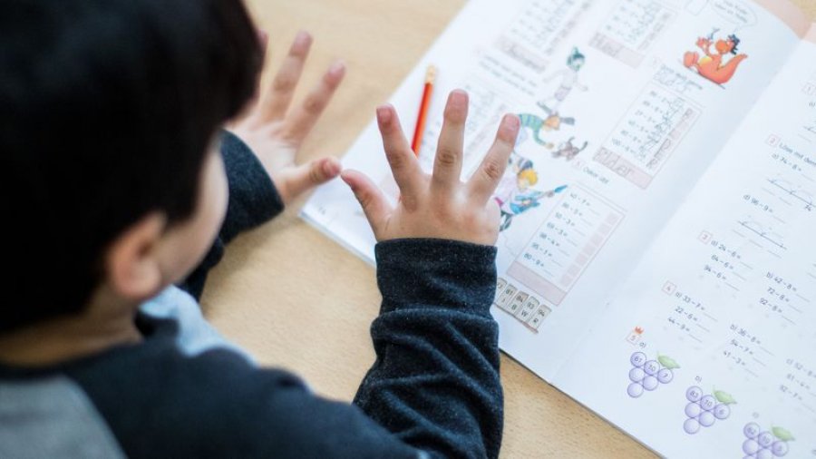 Numërimi me gishta është një trampolinë drejt suksesit në matematikë