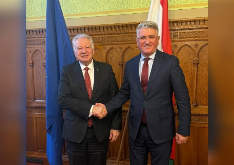 Gjekmarkaj takon homologun hungarez, Istvan Jakab, diskuton mbi farsën e 11 Majit dhe goditjen e opozitës