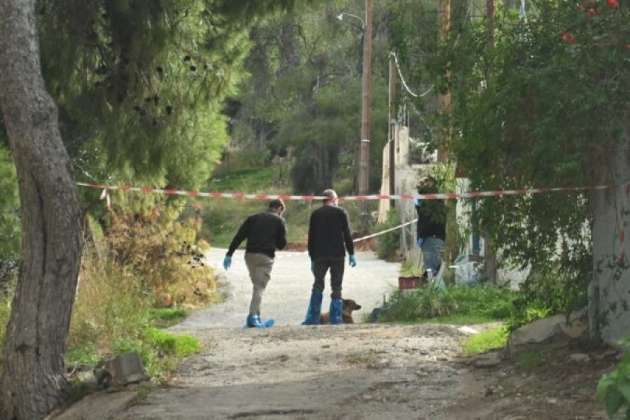 U tha se e vranë grabitësit, ngjarja në Greqi merr kthesë dramatike, e moshuara u masakrua nga nusja e djalit