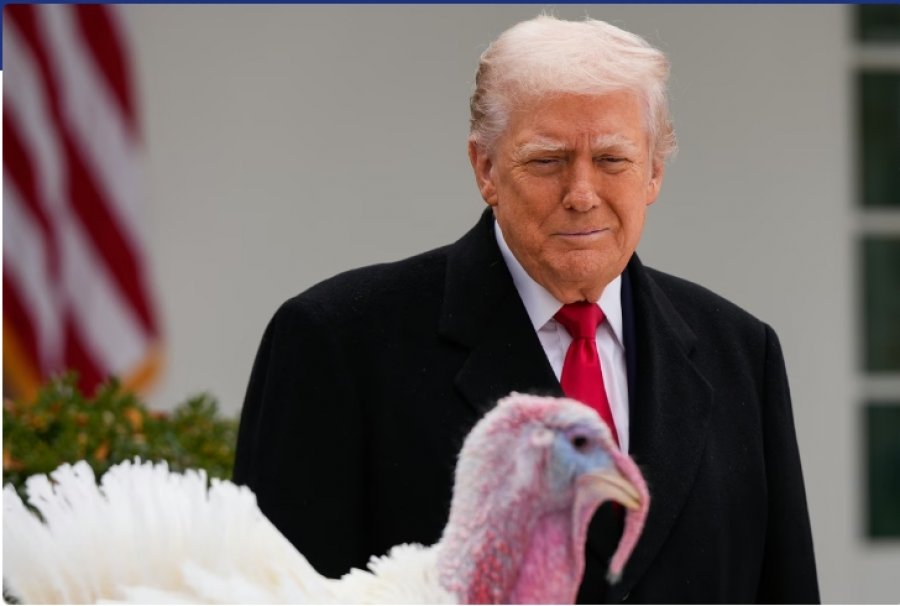 Trump fali gjelat e detit përpara Ditës së Falënderimeve, duke i quajtur me shaka Nancy Pelosi dhe Chuck Schumer