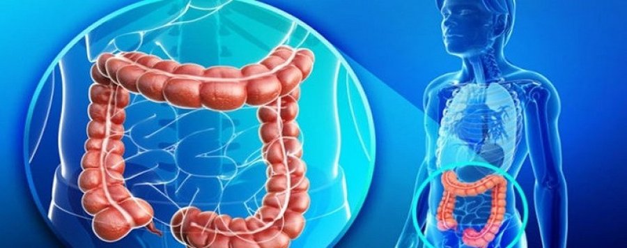 'Kujdes me ushqimet krudo'/ Mjeku tregon arsyet që shkaktojnë gastroenterit