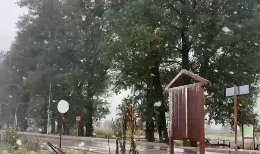 Librazhd/ Reshjet e dëborës 'mbulojnë' Parkun Kombëtar të Shebenikut 