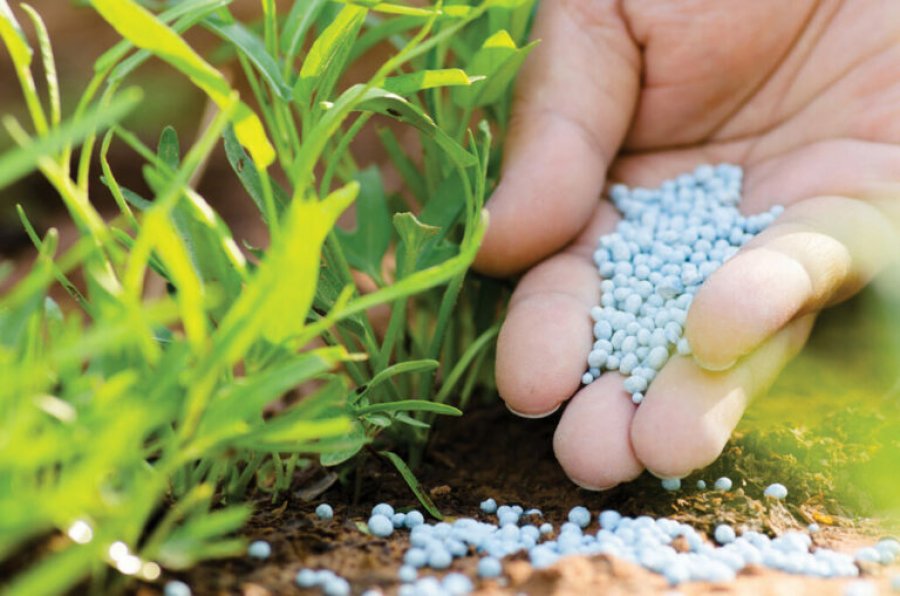 INSTAT: Importet e pesticideve, rritje në krahasim me një dekadë më parë