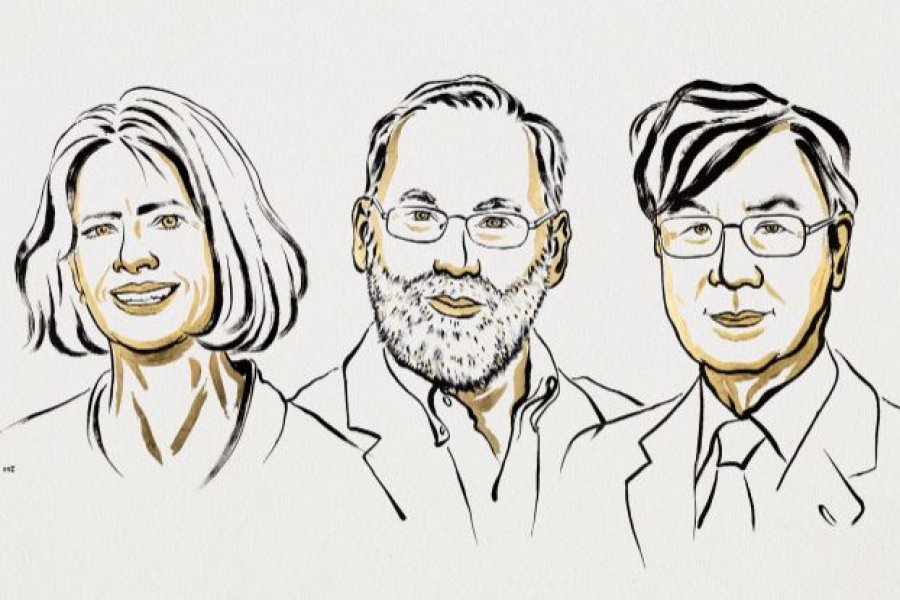 Çmimi 'Nobel' në Mjekësi u jepet tre shkencëtarëve Brunkow, Ramsdell dhe Sakaguchi