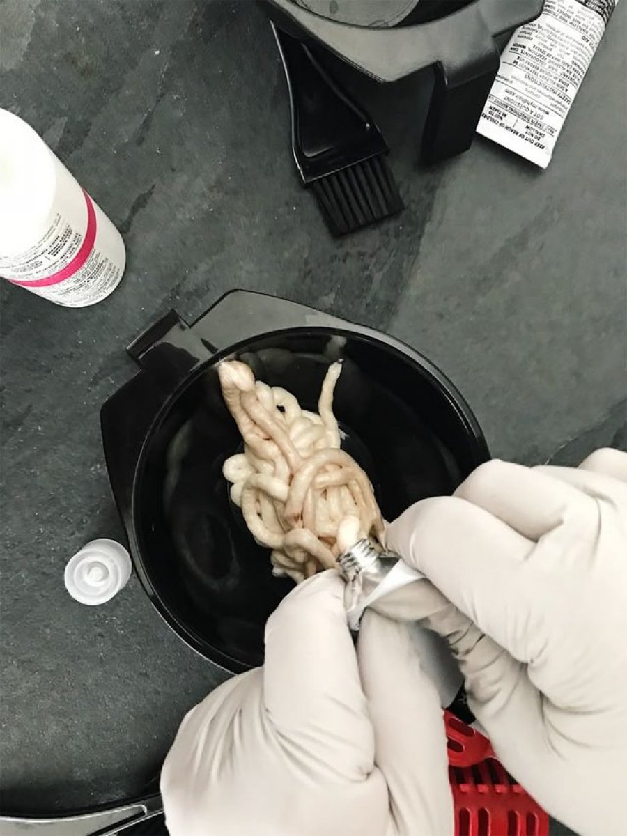 Çfarë duhet të dish para se të lyesh flokët në kushte shtëpie, këshilla që duhen respektuar