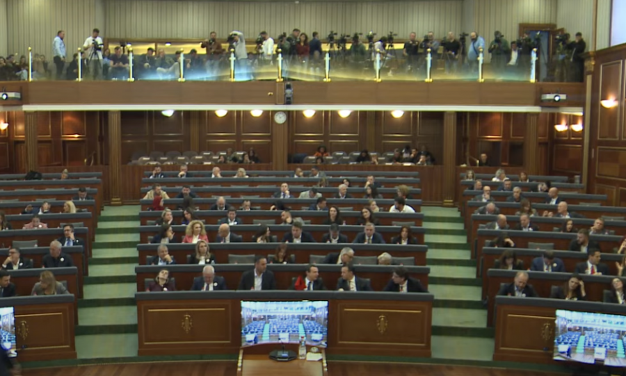Dështon edhe zgjedhja e Liliana Stevanofiqit për nënkryetare