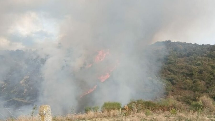 Peqin/ Zjarr masiv në fshatin Fatisht, flakët përfshijnë sipërfaqen e madhe me pemë frutore