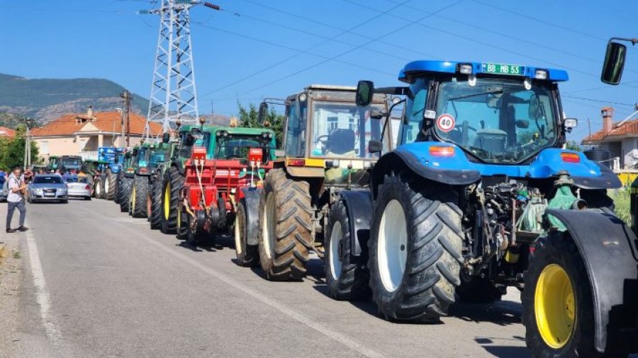 Fermerët e Maliqit përballë sfidave të prodhimit vendas: Mungesë uji, subvencione të vonuara dhe frikë nga importet