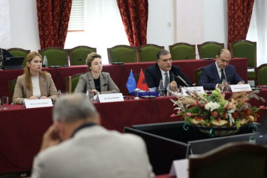 Blushi: PL e vendosur për përshpejtimin e integrimit në BE dhe respektimin e standardeve demokratike