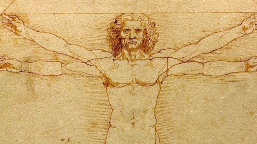Detaji i fshehur në skrotum që zgjidh misterin 500-vjeçar të Leonardo da Vinçit