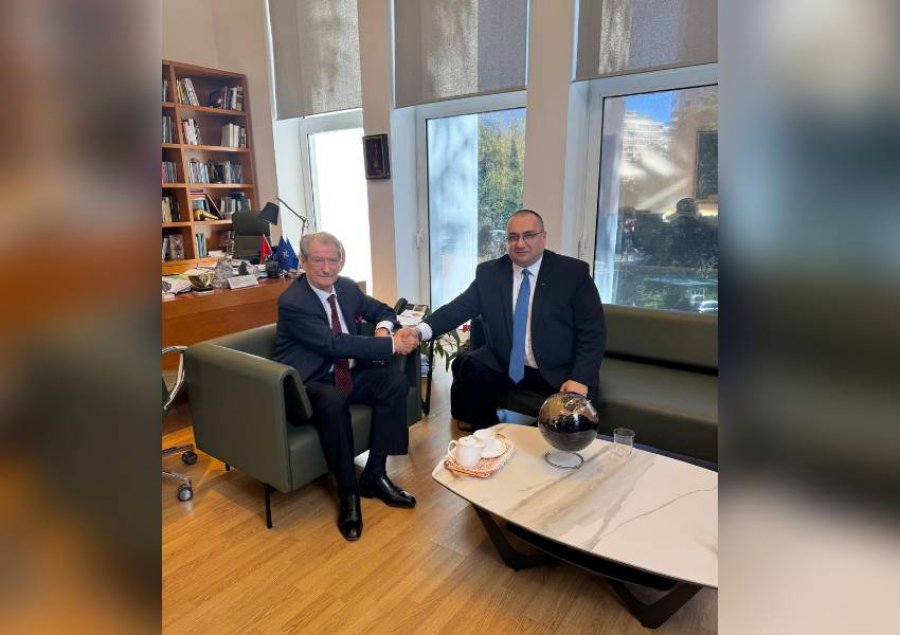 Takimi me eurodeputetin Cristian Terheș/ Berisha: Denoncova instalimin e narkoshtetit dhe shtypjen e opozitës në Shqipëri
