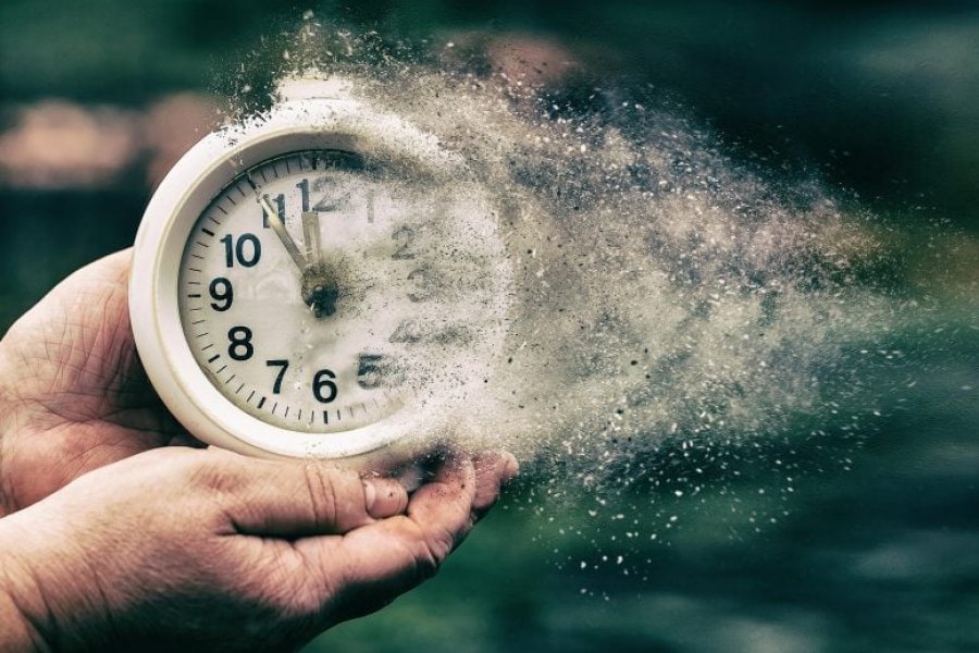 'Molekulat misterioze' të zbuluara te qentë mund të ndihmojnë njerëzit të jetojnë më gjatë e më shëndetshëm