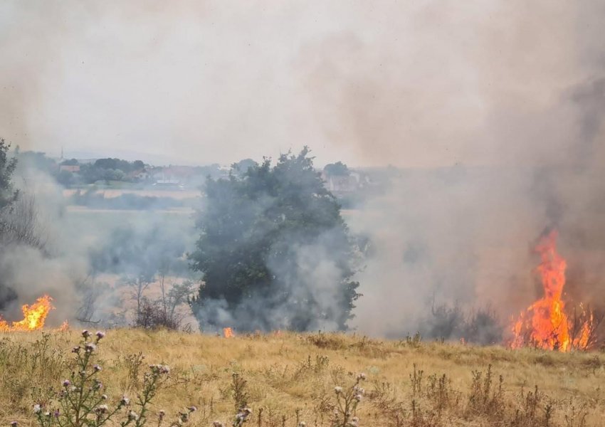 36 vatra zjarri gjatë fundjavës në Kosovë, 4 ende aktive