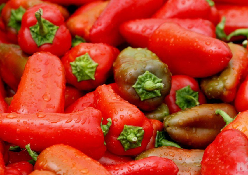 Pas pjeshkëve dhe domateve, Sllovenia bllokon specat e kuq nga Shqipëria, janë plot me pesticide