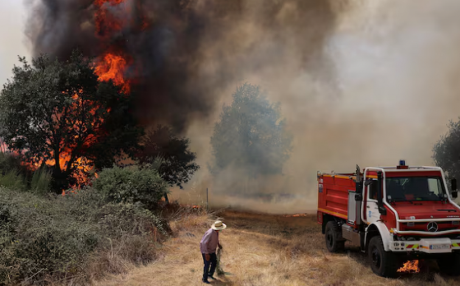 Nga pyjet e Amazonës te Europa dhe Kanadaja, paralajmëron OKB: Zjarret masive po nxisin ndotjen e ajrit