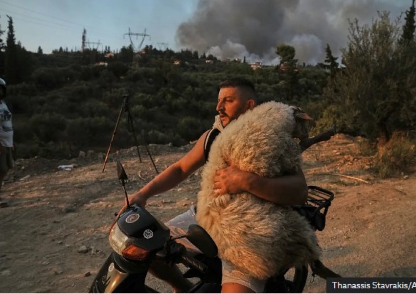 BBC shpall 12 imazhet më të paharrueshme të vitit 2025, mes tyre edhe një shqiptar