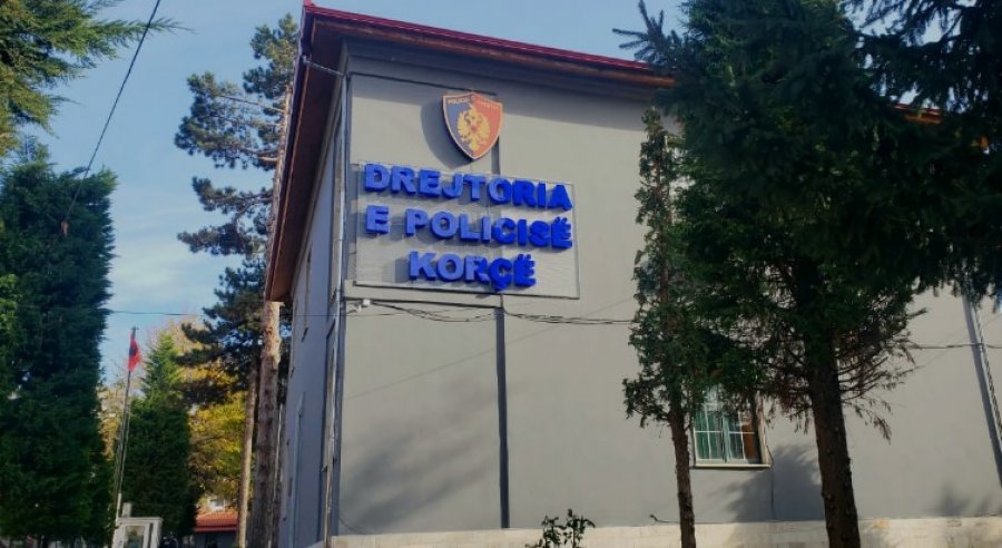 Ngacmim, sulme dhe shkelje të tjera ligji/ Arrestime dhe procedime në Korçë për disa shtetas 