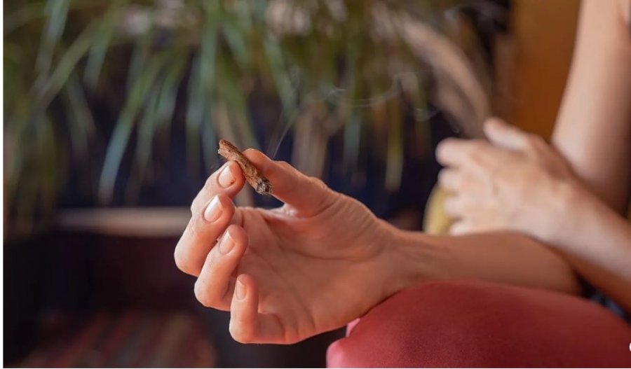 Përdorimi i kanabisit mund të ndikojë në fertilitetin e grave, zbulon një studim i ri
