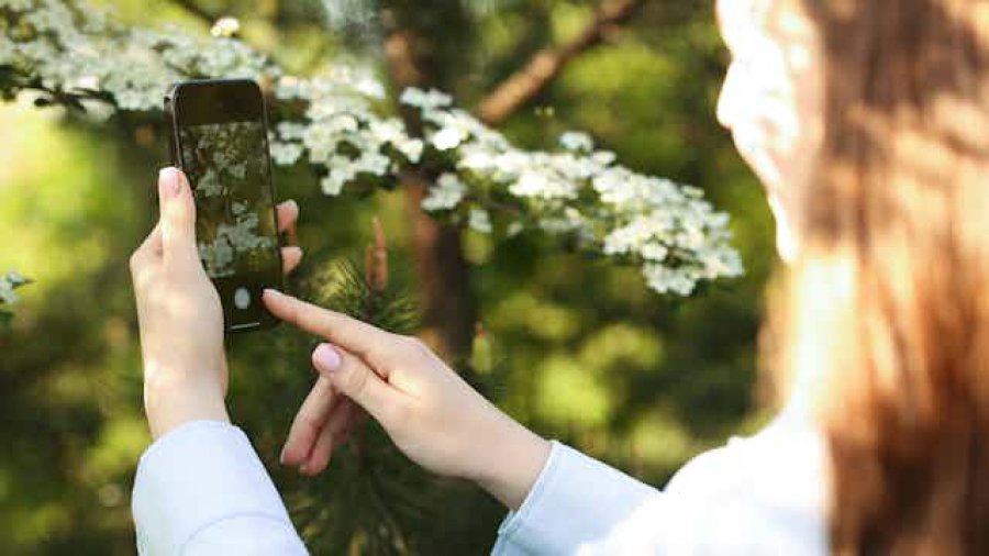 Telefonat dhe teknologjia mund të forcojë lidhjen e adoleshentëve me natyrën