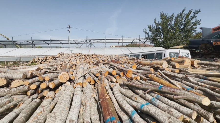 Aksioni në Pogradec, ndëshkohen 20 kontrabandistë të druve të zjarrit
