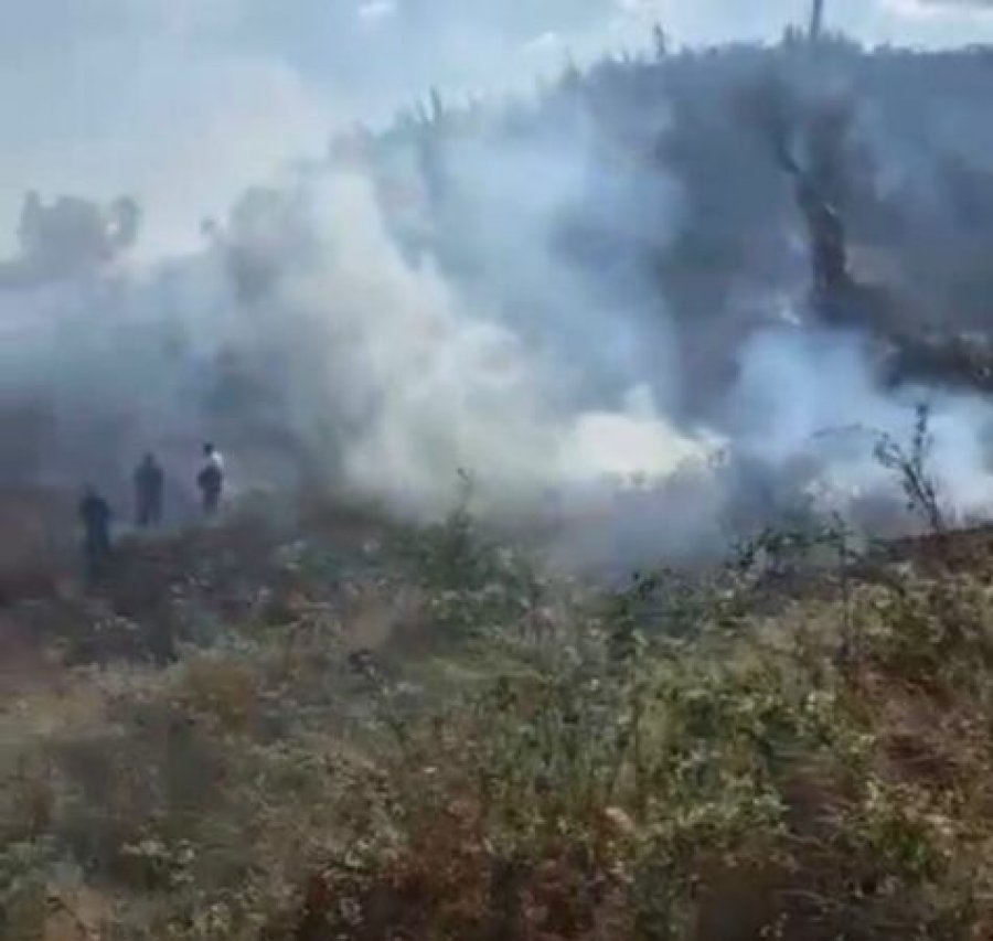 Tetë vatra zjarri gjatë shtatorit në Qarkun e Elbasanit, u shkrumbuan dhjetëra banesa, mijëra hektarë me dru frutorë dhe pyje