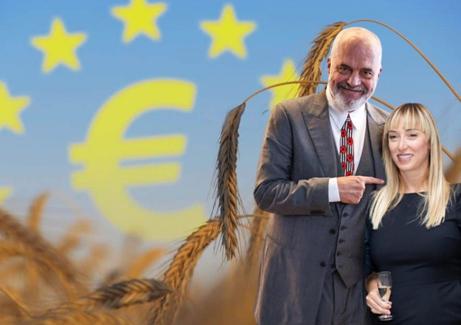 Skandal i ri për ish-ministren Frida Krifca, ILDKPKI e gjobit për konflikte interesi me kompaninë e burrit