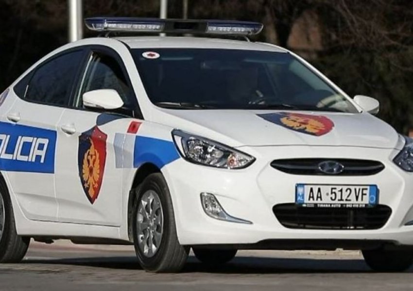 U kap duke transportuar dru të prerë ilegalisht, arrestohet 49-vjeçari në Përmet