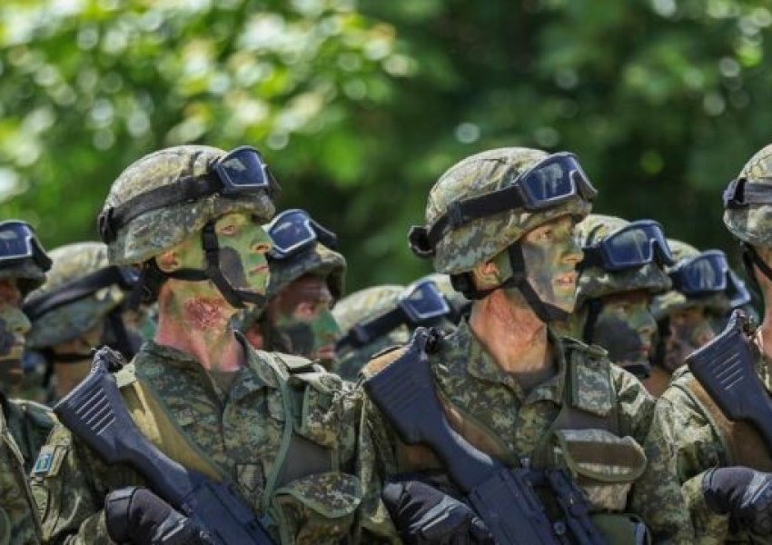 Armatimi në Ballkanin Perëndimor/ Serbia me Kinën e Rusinë, të tjerët me NATO-n