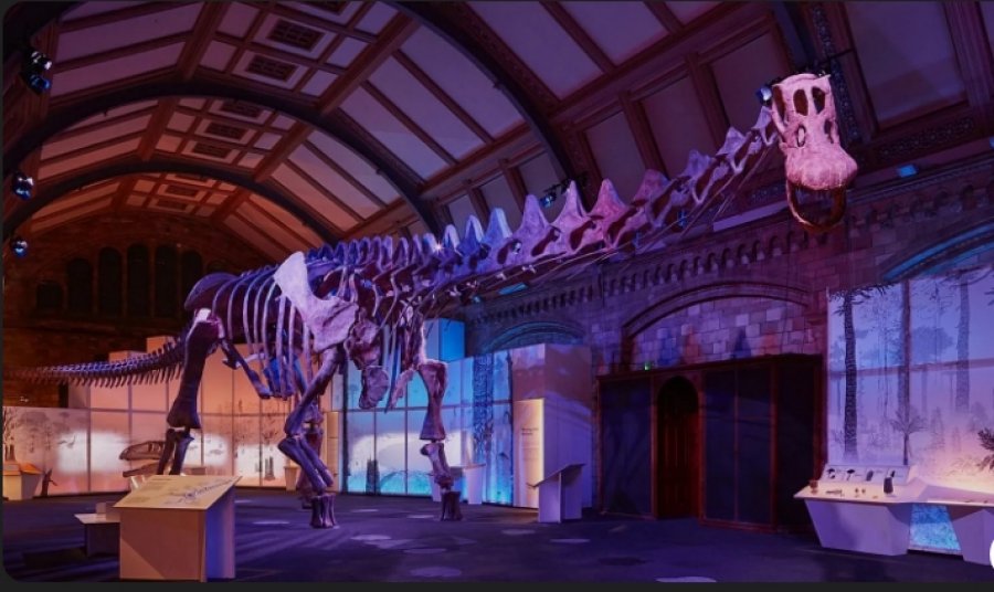 Dinosauri më i madh në botë ekspozohet në një katedrale të Mbretërisë së Bashkuar