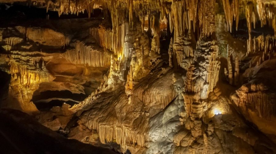 Gjenden mikrobe të paprekura për 11 milionë vjet në një shpellë në New Mexico, hapen skenarë të rinj për jetën jashtëtokësore!