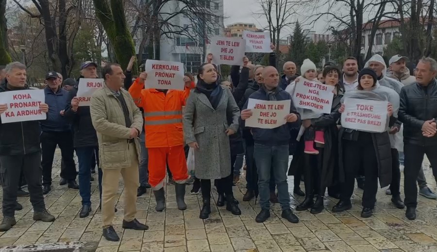 Policia e shtetit si agjenci rojesh private