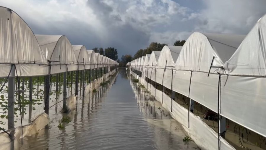 Fermerët e Goriçanit përmbyten për të katërtën herë 