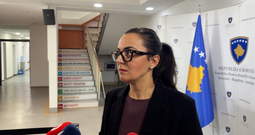 Lushaku: Nuk kam njësi matëse që e mat sinqeritetin e ndonjë partie, pjekuri politike është të gjitha partitë të ulen